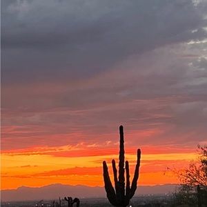 Meet your Posher, Dee